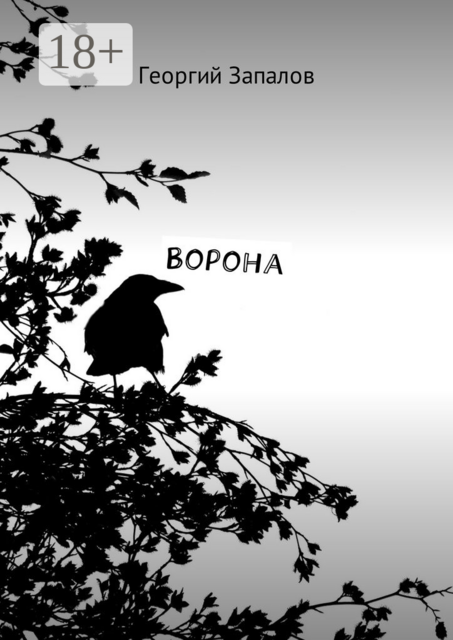 Ворона, Запалов Георгий