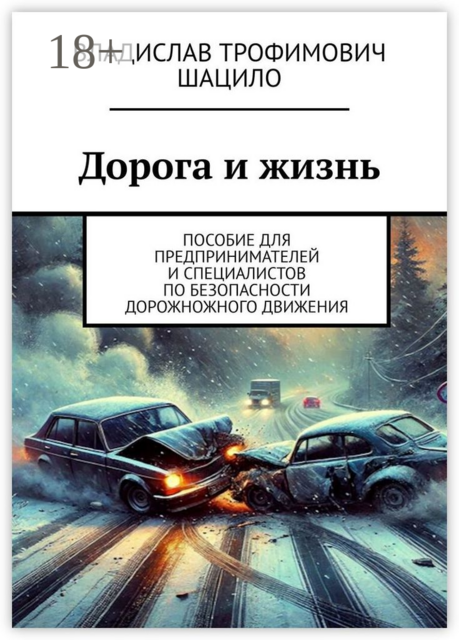 Дорога и жизнь. Пособие для предпринимателей и специалистов по безопасности дорожножного движения, Владислав Шацило