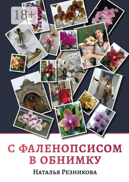 С фаленопсисом в обнимку