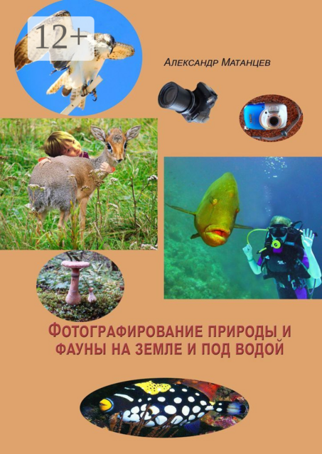 Фотографирование природы и фауны на земле и под водой