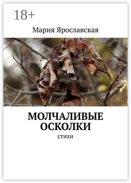 Молчаливые осколки