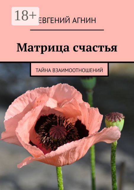Матрица счастья. Тайна взаимоотношений, Евгений Агнин