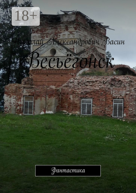 Весьёгонск. Фантастика, Николай Васин