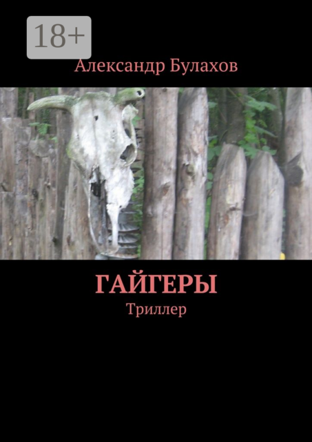 Гайгеры. Триллер, Александр Булахов