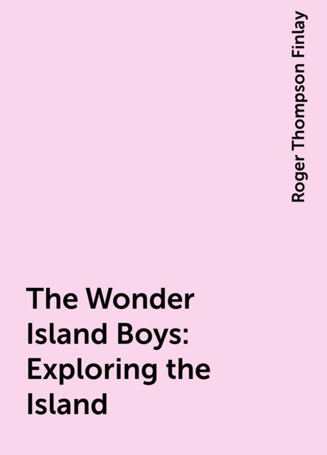 The Wonder Island Boys: Exploring the Island