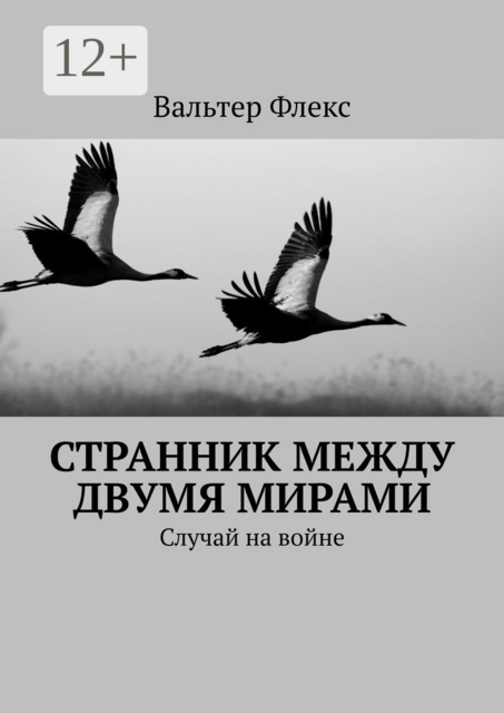 Странник между двумя мирами. Случай на войне