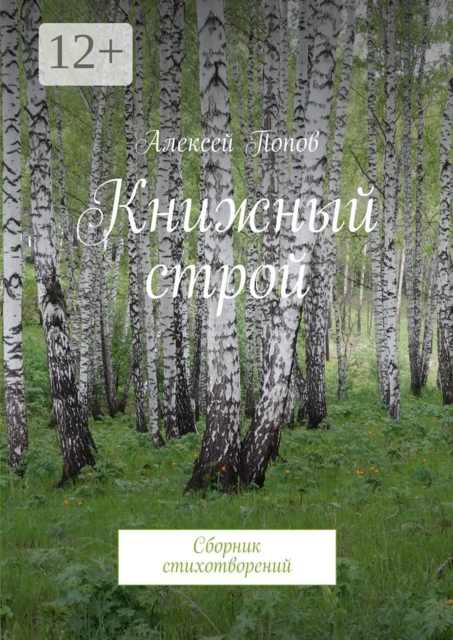 Книжный строй