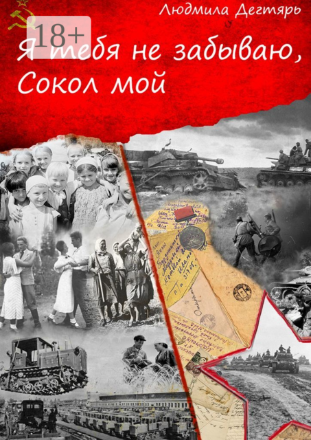 Я тебя не забываю, Сокол мой