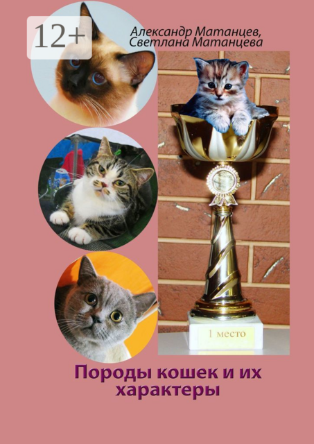 Породы кошек и их характеры