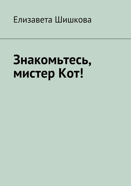 Знакомьтесь, мистер Кот, Елизавета Шишкова