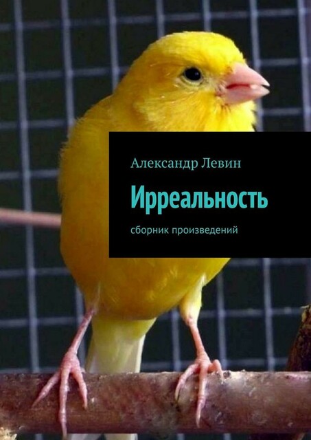 Ирреальность