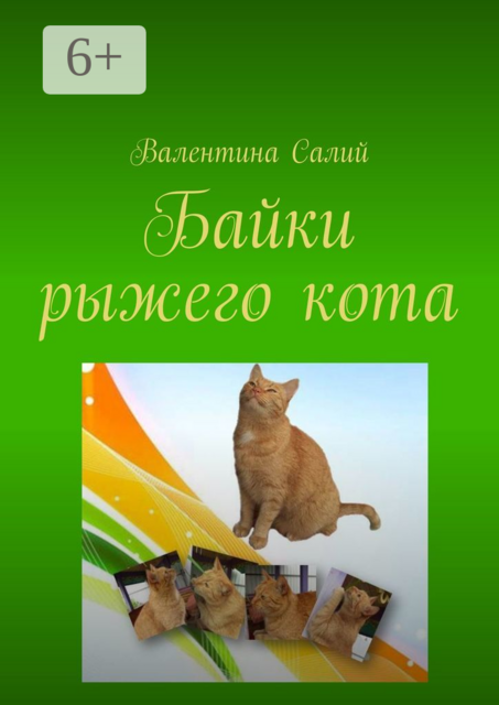 Байки рыжего кота, Валентина Салий