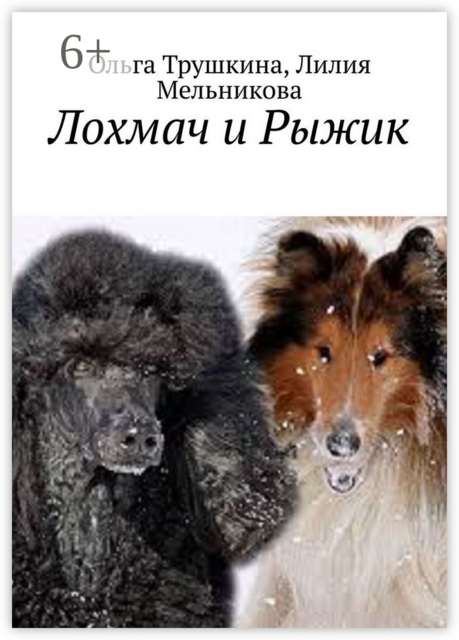 Лохмач и Рыжик