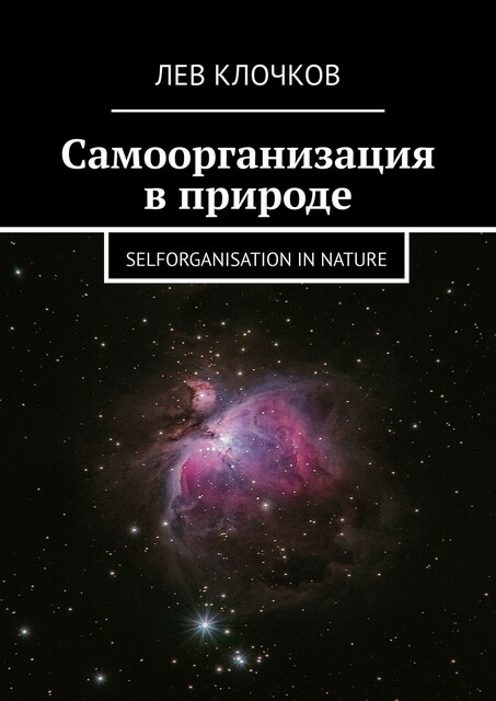 Самоорганизация в природе. Selforganisation in Nature