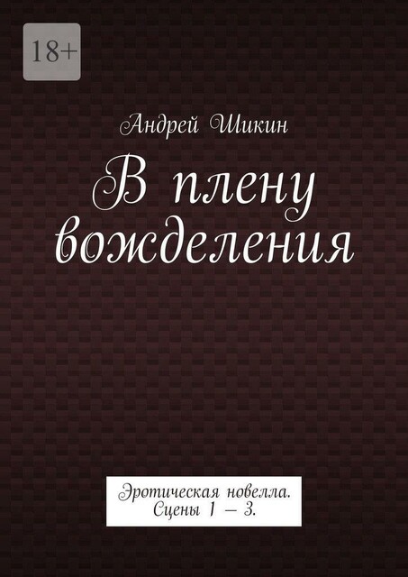 В плену вожделения, Андрей Шикин