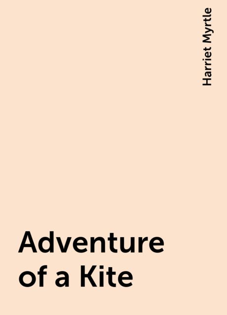 Adventure of a Kite