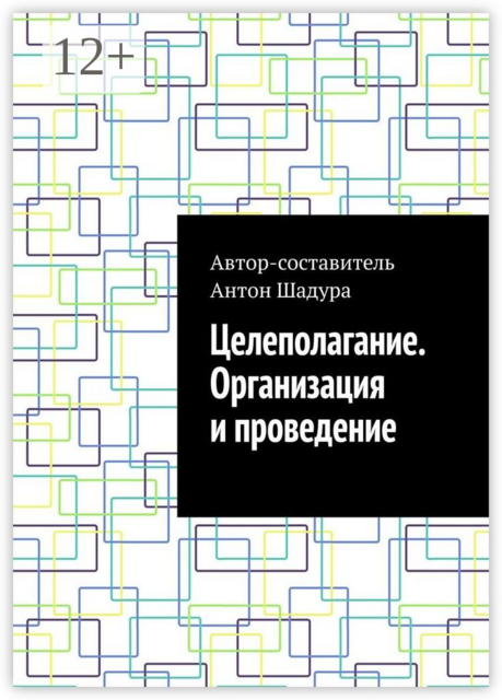 Целеполагание. Организация и проведение