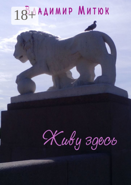 Живу здесь. Очерки о Санкт-Петербурге, Владимир Митюк