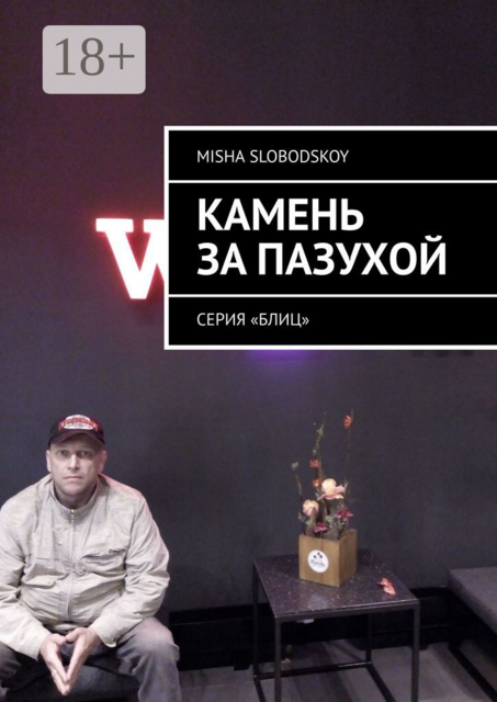 Камень за пазухой. Серия «Блиц»