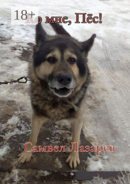 Ко мне, Пёс
