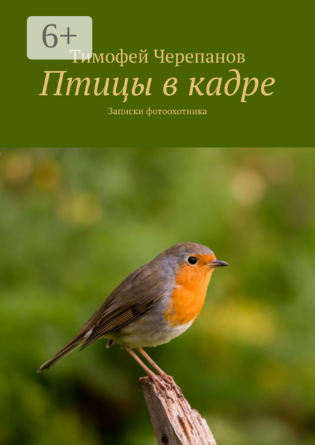 Птицы в кадре. Записки фотоохотника, Тимофей Черепанов