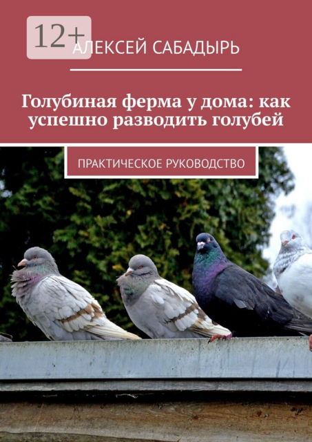 Голубиная ферма у дома: как успешно разводить голубей. Практическое руководство