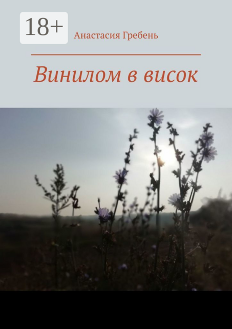 Винилом в висок, Анастасия Гребень