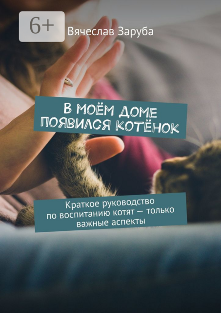 В моём доме появился котёнок