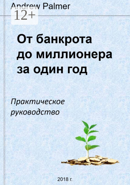 От банкрота до миллионера за один год. Практическое руководство по выходу из долговой ямы
