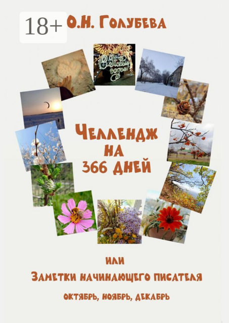 Челлендж на 366 дней. Или заметки начинающего писателя. Октябрь, ноябрь, декабрь