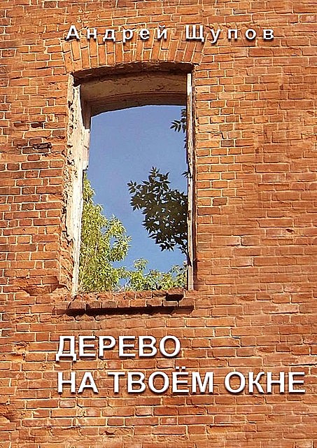 Дерево на твоем окне, Евгений Штиль