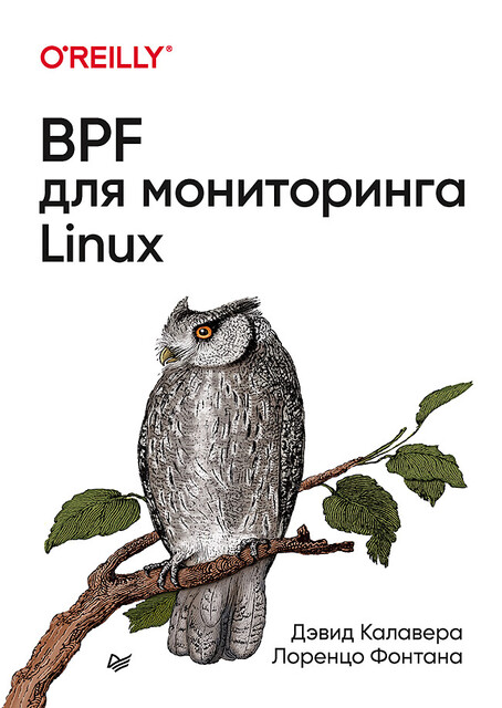 BPF для мониторинга Linux, Дэвид Калавера, Лоренцо Фонтана