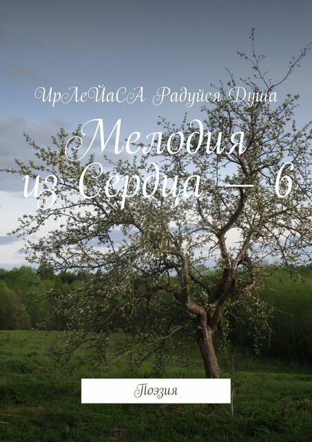 Мелодия из Сердца — 6. Поэзия