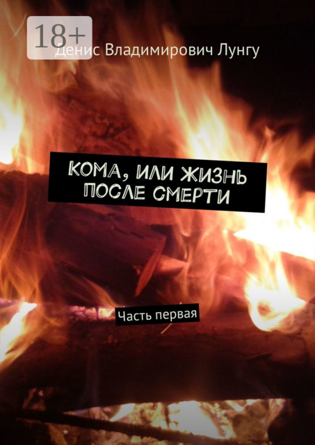 Кома, или Жизнь после смерти. Часть первая, Денис Лунгу