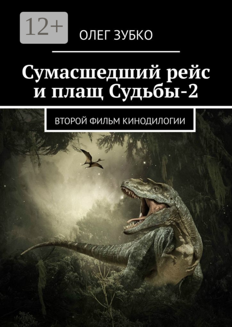 Сумасшедший рейс и плащ Судьбы — 2. Второй фильм кинодилогии