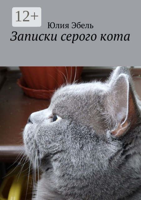Записки серого кота. Жизнь людей глазами кота