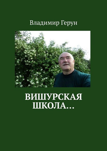 Вишурская школа
