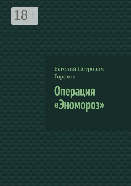 Операция «Эномороз», Евгений Горохов