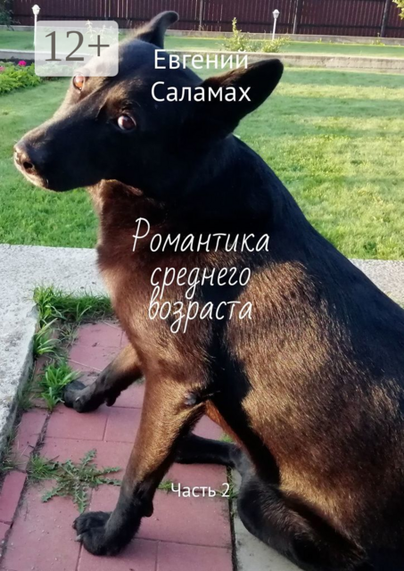 Романтика среднего возраста. Часть 2, Евгений Саламах