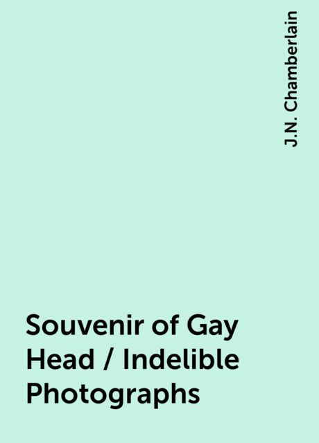 Souvenir of Gay Head / Indelible Photographs