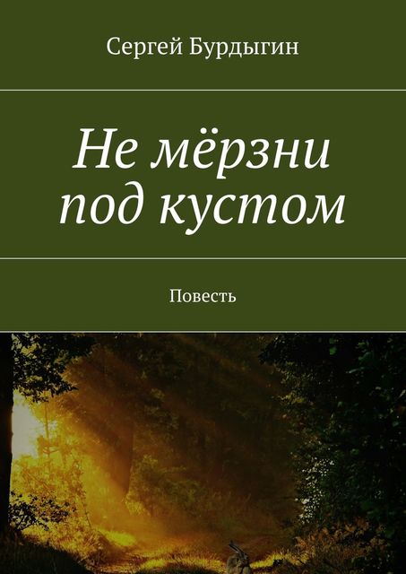 Не мерзни под кустом, Бурдыгин Сергей