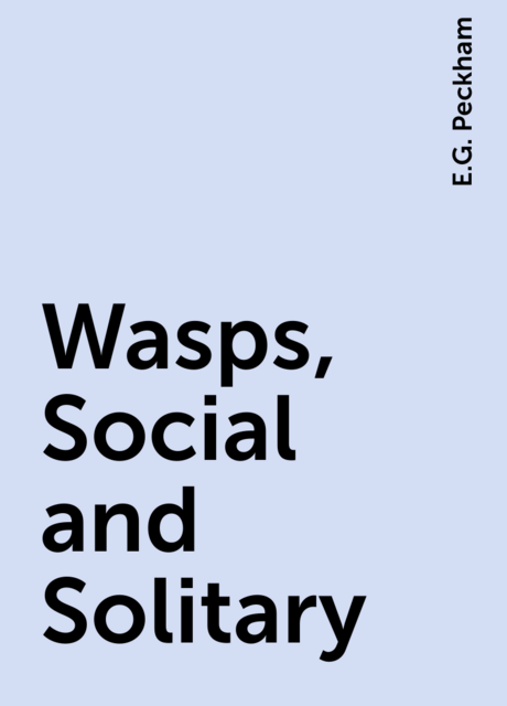 Wasps, Social and Solitary