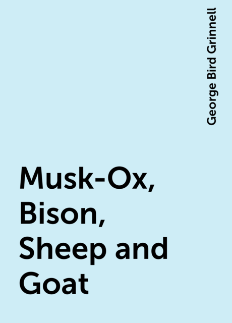 Musk-Ox, Bison, Sheep and Goat