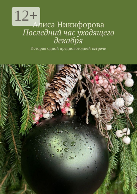 Последний час уходящего декабря. История одной предновогодней встречи
