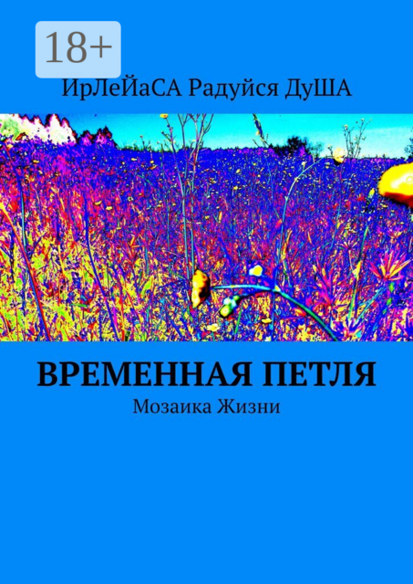 Временная петля. Мозаика жизни