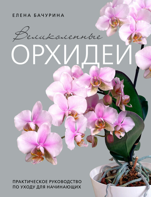 Великолепные орхидеи. Практичное руководство по уходу для начинающих, Елена Бачурина