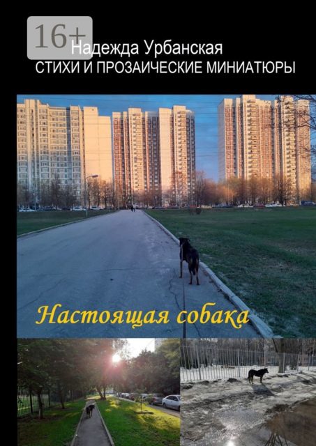 Настоящая собака