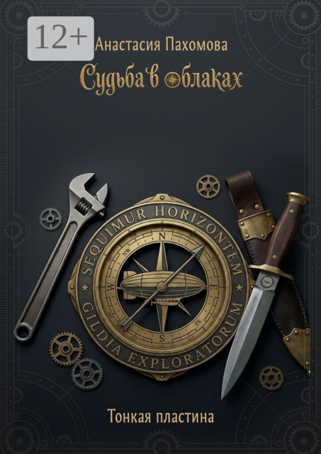 Судьба в облаках. Тонкая пластина