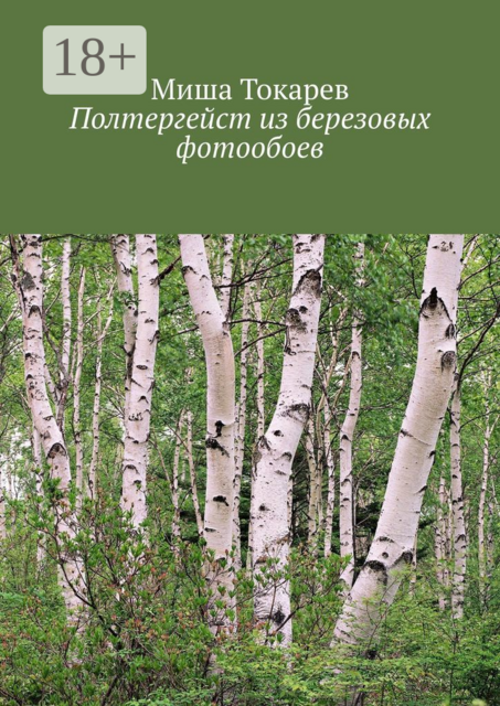 Полтергейст из березовых фотообоев, Миша Токарев