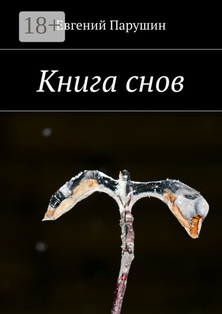 Книга снов. Я странник